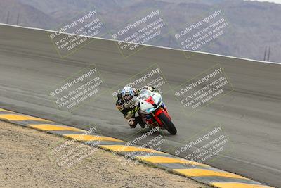 media/Jan-15-2023-SoCal Trackdays (Sun) [[c1237a034a]]/Bowl (1125am)/
